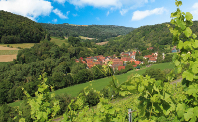 Blick von den Weinbergen auf den Ortsteil Tauberzell © LAG Region an der Romantischen Straße e. V.