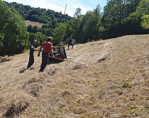 Vereinfacht die Arbeit am Hang erheblich: Der Bergmäher © Drei-Pflegen-Landschaft GbR