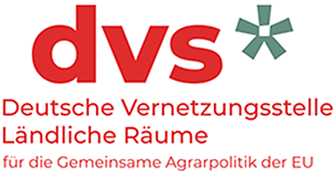 Logo DVS