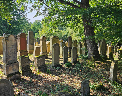 Der jüdische Friedhof in Schopfloch wurde im Rahmen des Kooperationsprojektes 