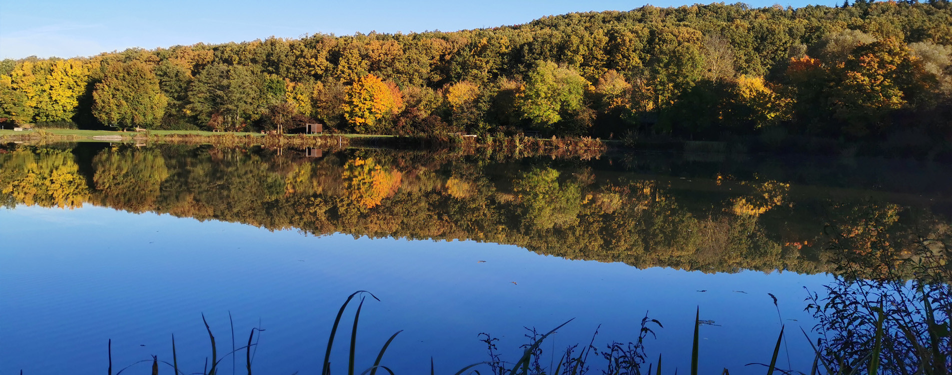 Herbst am Bastenauer Weiher