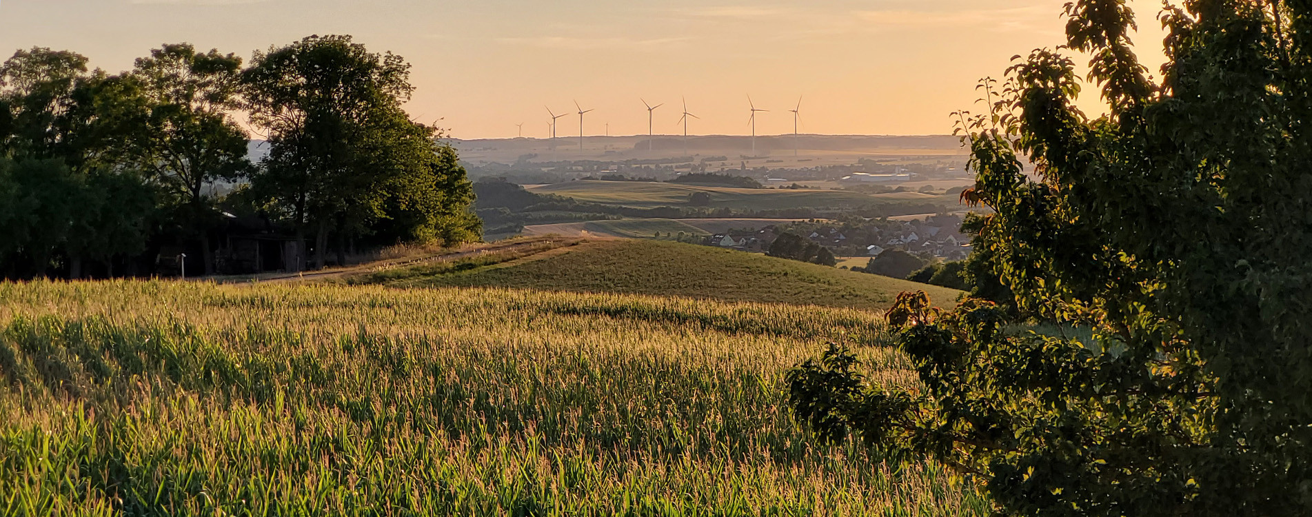 Blick auf den Windpark Bettenfeld