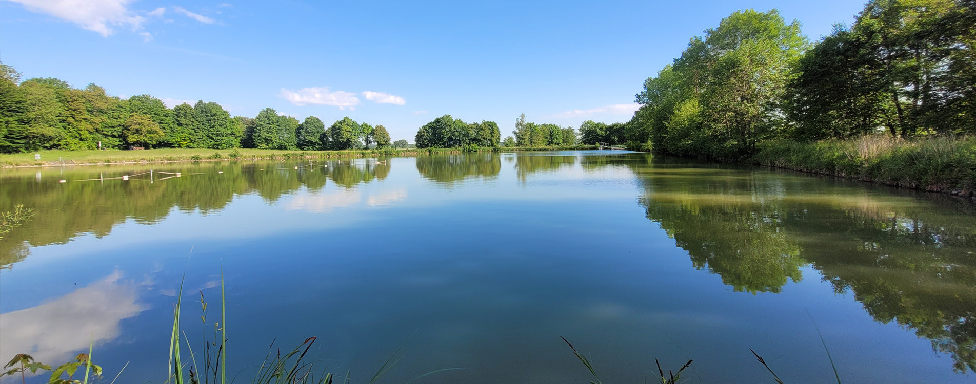 Hardweiher Wettringen