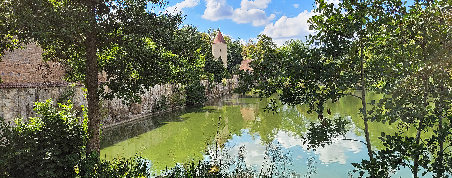 Rothenburger Weiher Dinkelsbühl